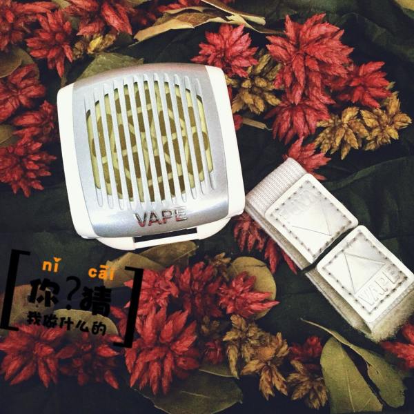 一键海淘夜总汇 你这该死的蚊子