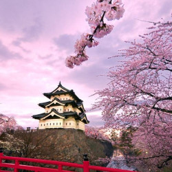 春秋航空 上海-日本名古屋7日往返含税 赠购物优惠券