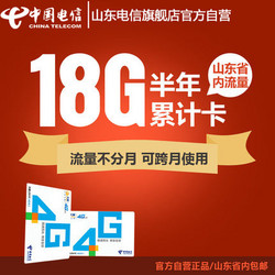 CHINA TELECOM 中国电信 山东电信省内流量卡 18GB 半年有效期