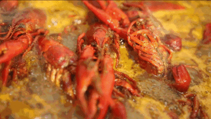 深夜觅食才是打开夏天的正确方式