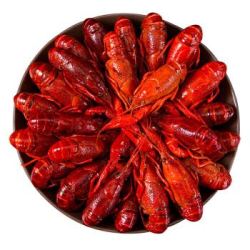 楚江红 麻辣小龙虾 20-25只 6-8钱/只 1.35kg 净虾量750g 