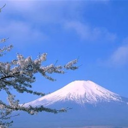 宿一晚温泉酒店 北京/天津-日本东京+箱根+富士山7天