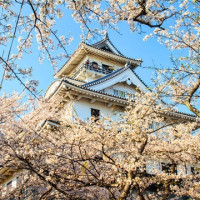 正暑假班期：天津-日本东京+富士山+箱根6日5晚半自由行（含北京-天津接送）