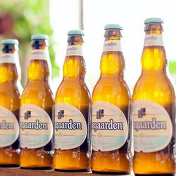 Hoegaarden 福佳 白啤酒 330ml*24瓶 +凑单品