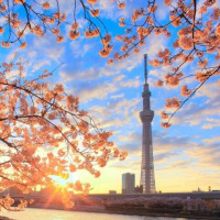 超长预售期：多家航司 北京直飞日本多地4-14天往返含税