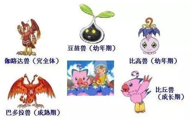 你童年热爱的《神奇宝贝》,其实是一部血腥的人类殖民史|单读