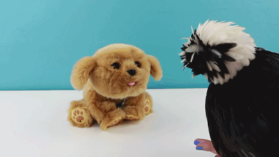 89元的入手好价,一款在国外非常火爆的暖心小狗玩具,有喜欢的朋友可