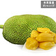 10点开始：海南三亚新鲜菠萝蜜 30斤