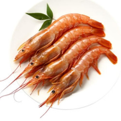 oceanfamily大洋世家阿根廷刺身级红虾l12kg2040只2件