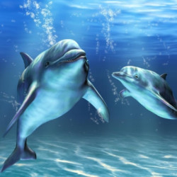 天津滨海喜来登酒店1晚+海昌极地海洋世界门票2张