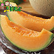美果汇新疆西州蜜哈密瓜1枚装约1.6-2.2kg新鲜水果鲜果