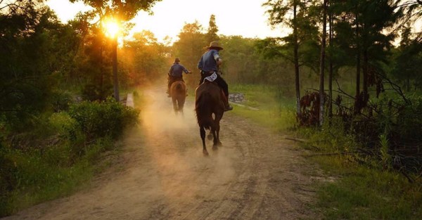 限上海:骑士马术体验 188元起 骑马放飞自我_娱