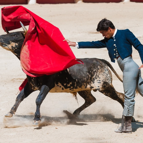新东方在线 西班牙语 零基础入门 课程