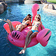  GoPong Floatmingo Giant Inflatable Flamingo, 6' 4