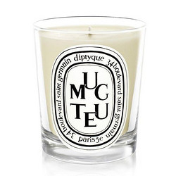 diptyque paris 铃兰香氛蜡烛 190g