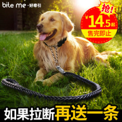 杭伊宠物 狗链子狗狗牵引绳