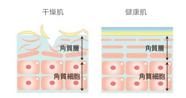 贝窝热卖:面子别人给 脸得靠自己保养