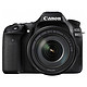 Canon 佳能 EOS 800D 单反套机 (EF-S 18-135 IS STM)