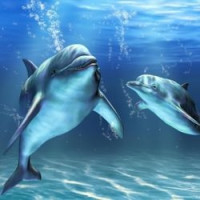 亲子游：天津万丽泰达酒店1晚+亲子早晚餐+极地海洋世界门票2张