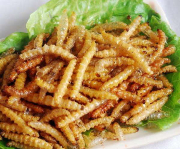 如何成为一个站在食物链顶端的吃货?