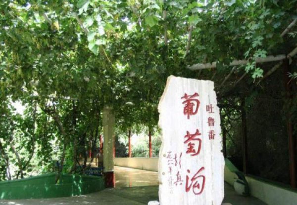 北京-新疆双卧10日跟团游