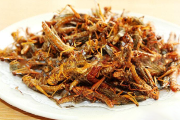 如何成为一个站在食物链顶端的吃货?