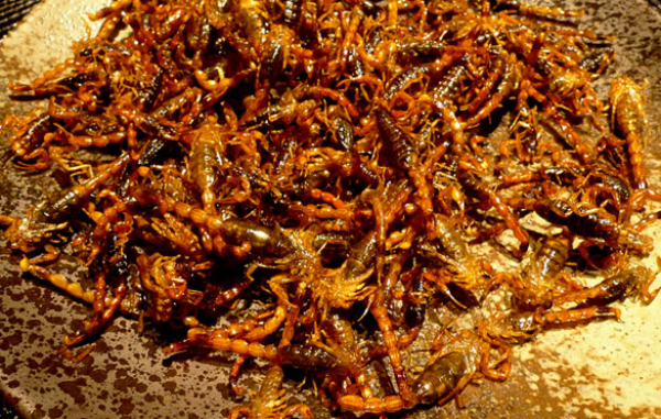 如何成为一个站在食物链顶端的吃货?