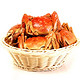 限地区：今锦上 六月黄大闸蟹（2.0-2.2两/只）8只装礼盒