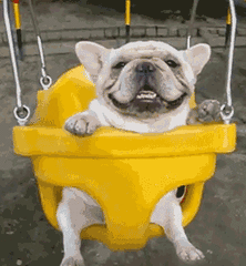 222_240gif 动态图 动图