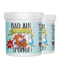 BAD AIR SPONGE 空气净化剂 400g *2罐