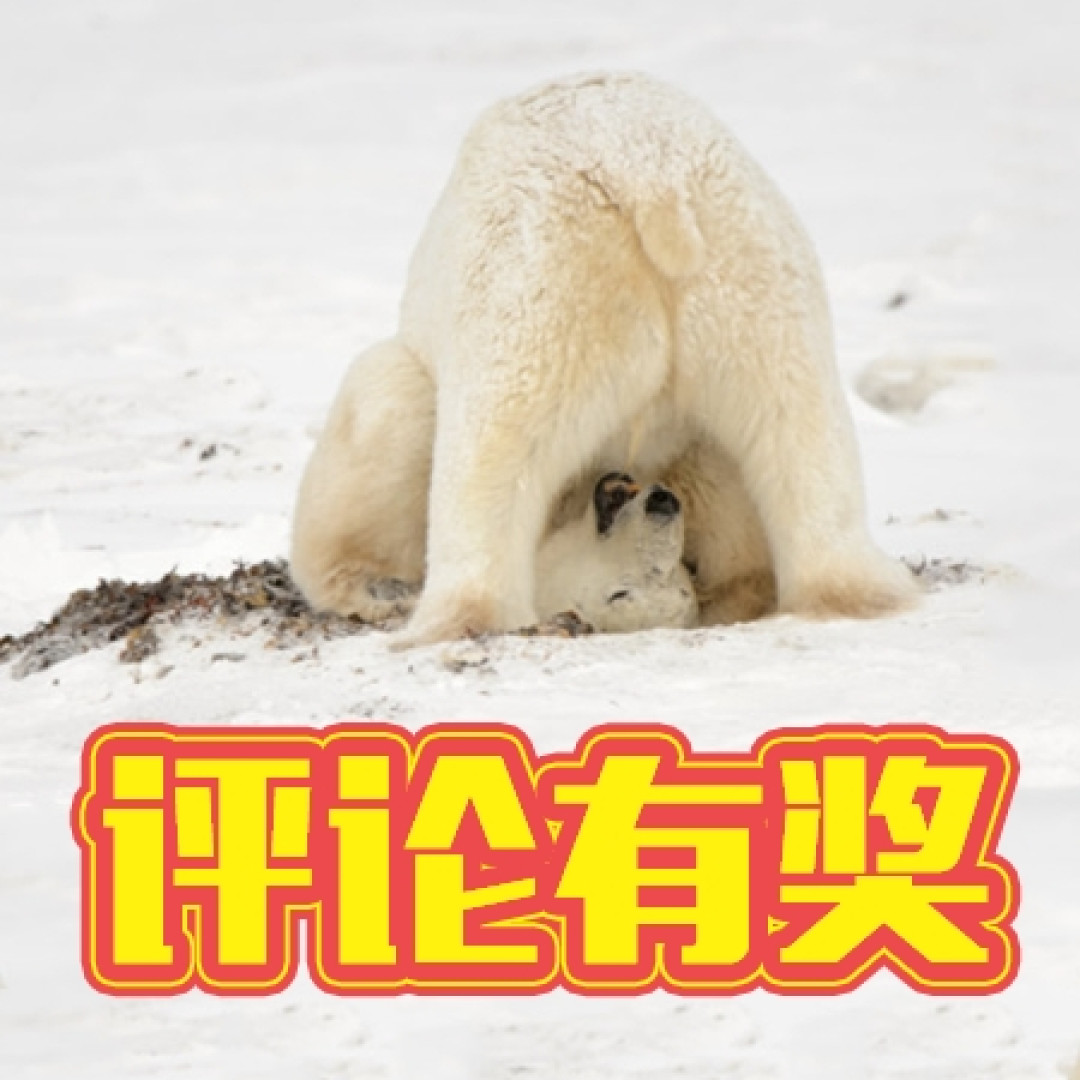 来自大妈的爱—芬兰航空机模