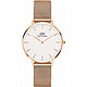 Daniel Wellington DW00100163 女士时装手表