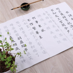 御宝阁 初学者毛笔字帖 30张+毛毡 