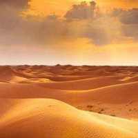 穿越沙漠：银川-腾格里沙漠露营2日游