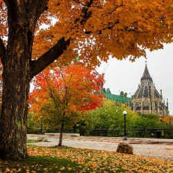 赏枫胜地:加拿大亚加华大峡谷+尼亚加拉大瀑布