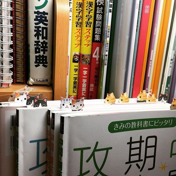 海淘种草记139期:功能接地气,颜值萌上天