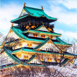 深圳-日本6-7天半自助游（全程四星酒店）
