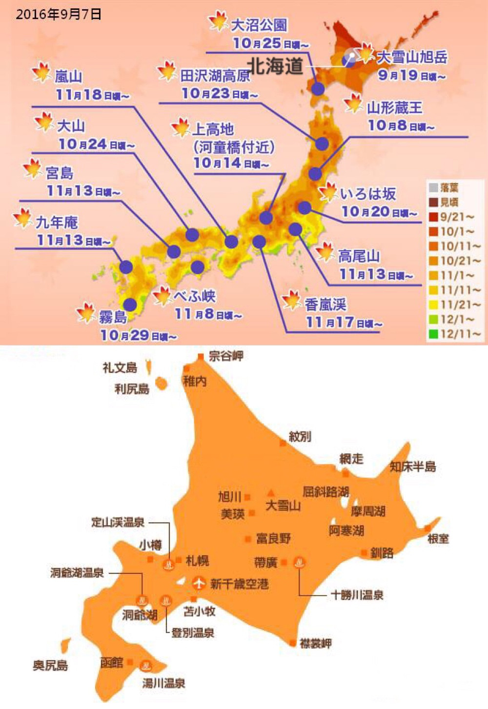 出行提示：再过不到1个月 可以去北海道看红叶啦