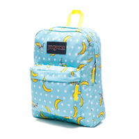 Jansport 882914 双肩背包