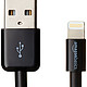 中亚Prime会员：AmazonBasics 亚马逊倍思  Lightning USB A数据线- 黑色(3英尺/0.9米) *两条装