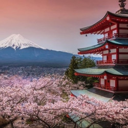 日本东京富士山一日游
