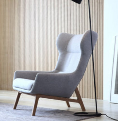 北欧单人沙发椅小户型客厅家具简约现代布艺小沙发时尚休闲老虎椅