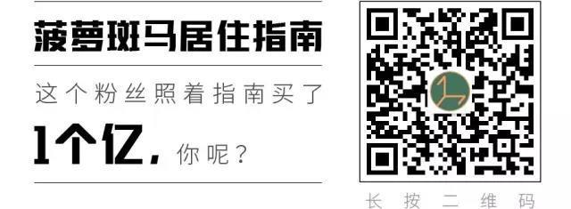 听到零甲醛装修,我吓得住进了毛胚房