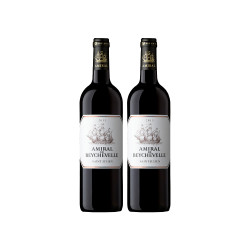 Amiral de Beychevelle 龙船将军 干红葡萄酒 750ml 