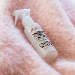 FELISSIMO 猫咪额头香味 香薰喷雾 100ml