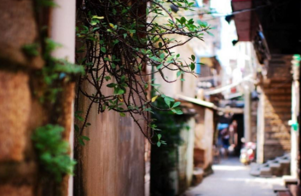 北京-厦门5日4晚跟团游(鼓浪屿+华安土楼+鹭江)
