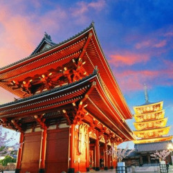 多家航司 全国多地-日本东京7天往返含税