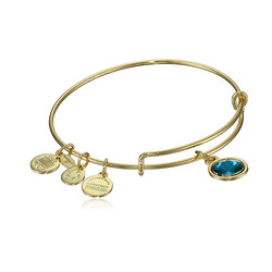 Alex and Ani Bangle Bar Birthstone 女士 生日石手镯 9月