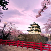 特价机票：南方航空 广州/深圳直飞日本大阪6天往返含税