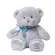 GUND Baby GUND 我的第一只泰迪熊毛绒玩具 蓝色 10英寸(25cm)  *2件